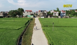 CTT: Trưởng th&ocirc;n l&agrave; Đảng vi&ecirc;n