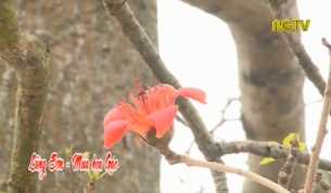 L&atilde;ng Sơn - M&ugrave;a hoa gạo