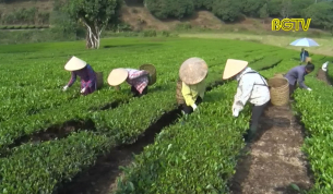 X&acirc;y dựng sản phẩm n&ocirc;ng sản đạt ti&ecirc;u chuẩn Quốc gia