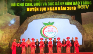 Khai mạc Hội chợ cam, bưởi v&agrave; sản phẩm đặc trưng