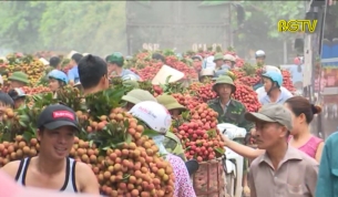 Th&ocirc;ng c&aacute;o b&aacute;o ch&iacute; về t&igrave;nh h&igrave;nh sản xuất, ti&ecirc;u thụ vải thiều