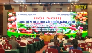 X&uacute;c tiến ti&ecirc;u thụ vải thiều tại Trung Quốc