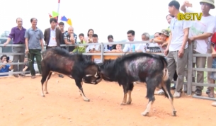 Độc đ&aacute;o Hội chọi d&ecirc; Y&ecirc;n Thế