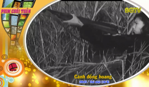 Phim đặc sắc cuối tuần (18/08): C&aacute;nh đồng hoang
