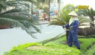 Cảnh b&aacute;o nguy cơ tai nạn từ m&aacute;y cắt cỏ