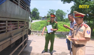 Phức tạp t&igrave;nh trạng vận chuyển lợn kh&ocirc;ng r&otilde; nguồn gốc