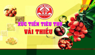 PV PCT UBND tỉnh Dương Văn Th&aacute;i về x&uacute;c tiến ti&ecirc;u thụ Vải thiều 