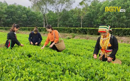 Ẩm thực Bắc Giang - Tập 3: Ch&egrave; Bản Ven