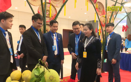 Ấn tượng gian h&agrave;ng thanh ni&ecirc;n khởi nghiệp cụm Trung du Bắc Bộ