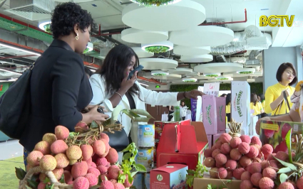 Ấn tượng Vải thiều Bắc Giang tại diễn đ&agrave;n "Vải thiều vươn ra Thế giới"