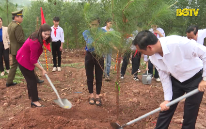 T&acirc;n Y&ecirc;n ph&aacute;t động Tết trồng c&acirc;y xu&acirc;n Gi&aacute;p Th&igrave;n 2024 