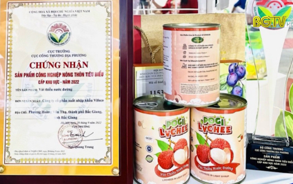 Bắc Giang: 4 sản phẩm c&ocirc;ng nghiệp n&ocirc;ng th&ocirc;n ti&ecirc;u biểu khu vực
