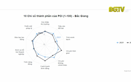 Bắc Giang: Chỉ số chi ph&iacute; kh&ocirc;ng ch&iacute;nh thức cải thiện 29 bậc
