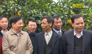 Bắc Giang - Địa phương ti&ecirc;n phong khai th&aacute;c lợi thế sản phẩm cấp tỉnh