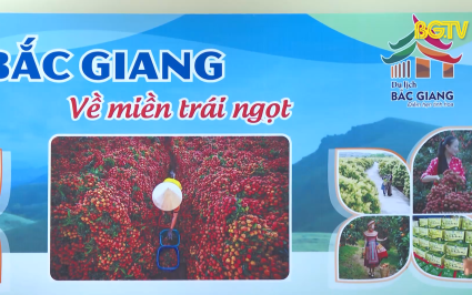 Bắc Giang kết nối, ti&ecirc;u thụ vải thiều v&agrave; n&ocirc;ng sản 