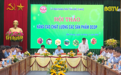 Bắc Giang n&acirc;ng cao hiệu quả chương tr&igrave;nh mỗi x&atilde; một sản phẩm OCOP