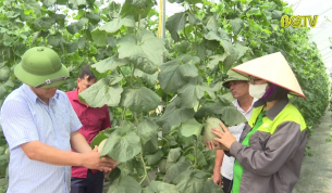 Điểm s&aacute;ng trong ph&aacute;t triển n&ocirc;ng nghiệp ứng dụng c&ocirc;ng nghệ cao