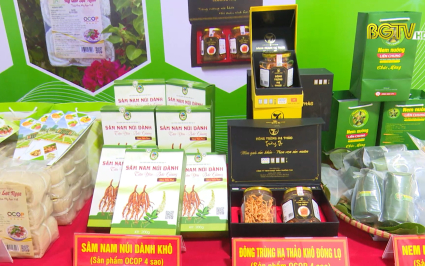Bắc Giang phấn đấu x&acirc;y dựng th&agrave;nh c&ocirc;ng sản phẩm OCOP du lịch v&agrave; OCOP 5 sao