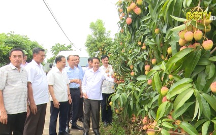 Bắc Giang ph&aacute;t triển v&ugrave;ng c&acirc;y ăn quả gắn với chế biến xuất khẩu