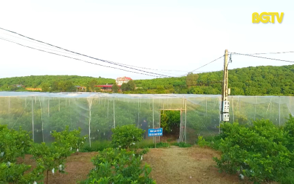 Bắc Giang th&iacute; điểm chương tr&igrave;nh chuyển đổi số trong x&acirc;y dựng n&ocirc;ng th&ocirc;n mới