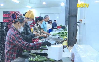 Bắc Giang thu h&uacute;t doanh nghiệp đầu tư lĩnh vực n&ocirc;ng nghiệp