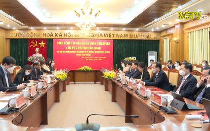Bắc Giang th&uacute;c đẩy quan hệ hợp t&aacute;c với Singapore