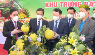 Bắc Giang th&uacute;c đẩy ti&ecirc;u thụ cam bưởi, n&ocirc;ng sản đặc trưng