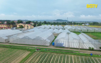 Bắc Giang tốp đầu sản xuất n&ocirc;ng nghiệp, n&ocirc;ng th&ocirc;n mới