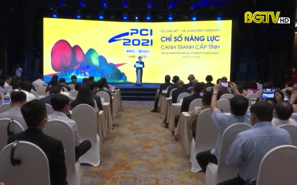 Bắc Giang xếp vị tr&iacute; 31 bảng xếp hạng PCI