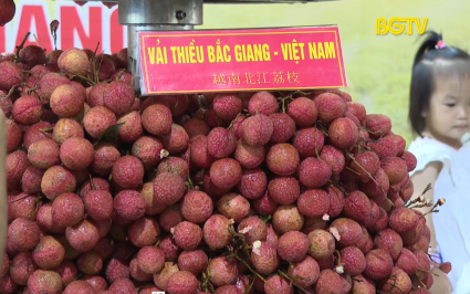 Bắc Giang x&uacute;c tiến ti&ecirc;u thụ vải thiều tại Bằng Tường (Trung Quốc)