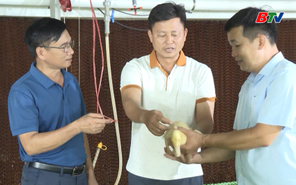 Bắc Ninh c&oacute; 3 c&aacute; nh&acirc;n được t&ocirc;n vinh N&ocirc;ng d&acirc;n Việt Nam xuất sắc v&agrave; nh&agrave; khoa học của nh&agrave; n&ocirc;ng 