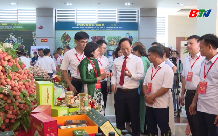 Bắc Ninh cơ bản kết th&uacute;c vụ vải sớm &ndash; Gi&aacute; b&aacute;n cao nhất từ trước đến nay 
