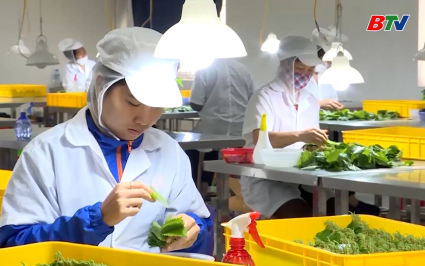 Bắc Ninh c&oacute; gần 2.000 cơ sở sản xuất n&ocirc;ng nghiệp c&ocirc;ng nghệ cao