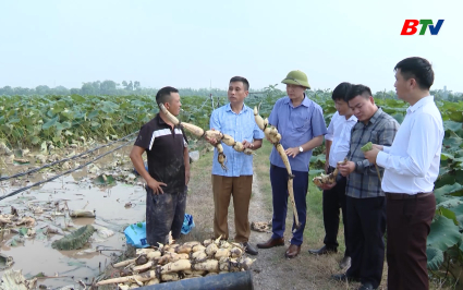 Bắc Ninh - Kỷ nguy&ecirc;n vươn m&igrave;nh: Kh&aacute;t vọng n&acirc;ng tầm n&ocirc;ng sản sạch
