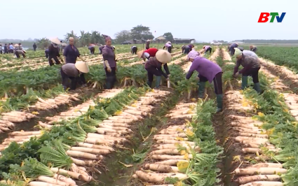 Bắc Ninh tăng gần 5% số HTX  