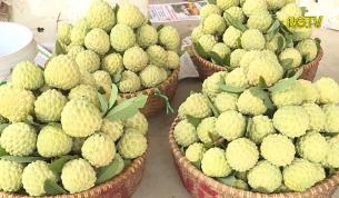 B&agrave;i to&aacute;n x&acirc;y dựng thương hiệu cho Na dai Lục Nam