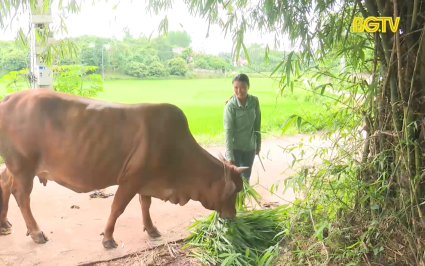 B&aacute;m s&aacute;t lộ tr&igrave;nh, ho&agrave;n th&agrave;nh chỉ ti&ecirc;u giảm ngh&egrave;o 