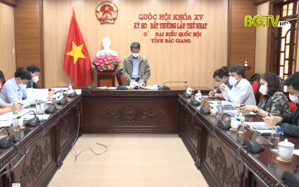 Ban Kinh tế ng&acirc;n s&aacute;ch thẩm tra dự thảo Nghị quyết HĐND tỉnh
