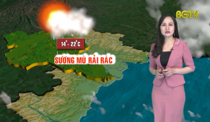 Bản tin thời tiết ng&agrave;y 19 - 02 - 2020