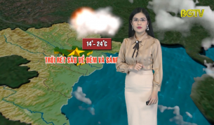 Bản tin thời tiết ng&agrave;y 29 - 12 - 2019