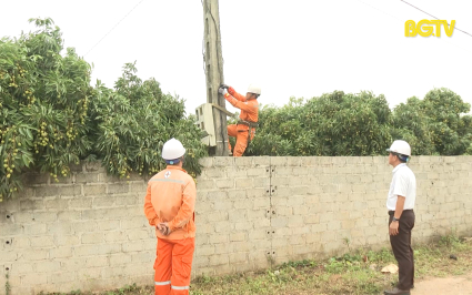Bảo đảm điều kiện sản xuất, ti&ecirc;u thụ vải thiều