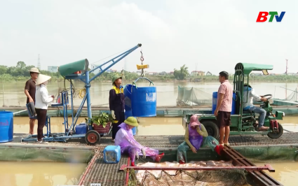Bảo vệ v&agrave; phục hồi thủy sản nu&ocirc;i lồng b&egrave; sau b&atilde;o số 11