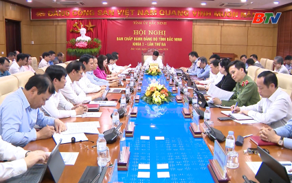 Ban Chấp h&agrave;nh Đảng bộ tỉnh th&ocirc;ng qua 5 Chương tr&igrave;nh, Dự &aacute;n quan trọng
