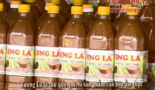 Vị ngọt Tương La