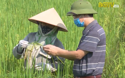Bắc Giang phấn đấu c&oacute; nền n&ocirc;ng nghiệp trọng điểm quốc gia