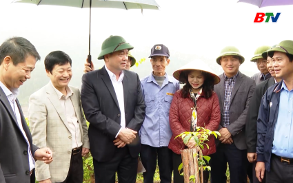 Bí thư Tỉnh ủy thăm, kiểm tra một số mô hình sản xuất nông nghiệp