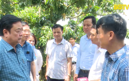 Bắc Giang cần quan t&acirc;m, ch&uacute; trọng về n&ocirc;ng nghiệp du lịch