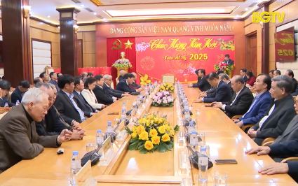 Ban Thường vụ Tỉnh ủy gặp mặt, ch&uacute;c Tết c&aacute;c đồng ch&iacute; nguy&ecirc;n l&atilde;nh đạo tỉnh