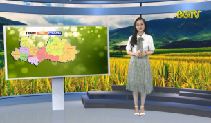 Trang truyền h&igrave;nh địa phương ng&agrave;y 01 - 07 - 2019
