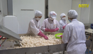 Chế biến c&aacute;c sản phẩm từ vải thiều - Một hướng đi mới